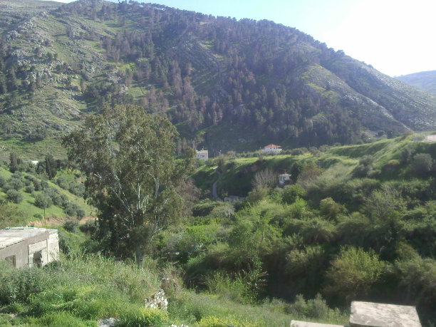 美丽的大自然图片下载