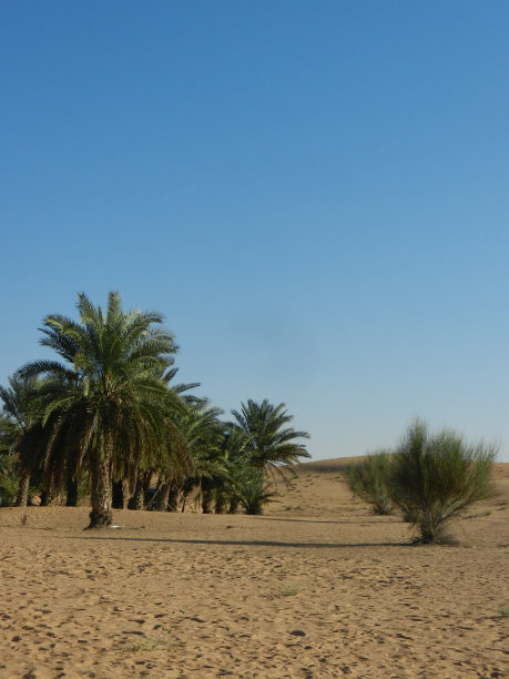 蓝天沙滩图片下载
