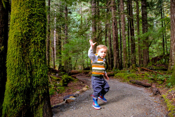 快乐的孩子享受森林徒步旅行图片下载
