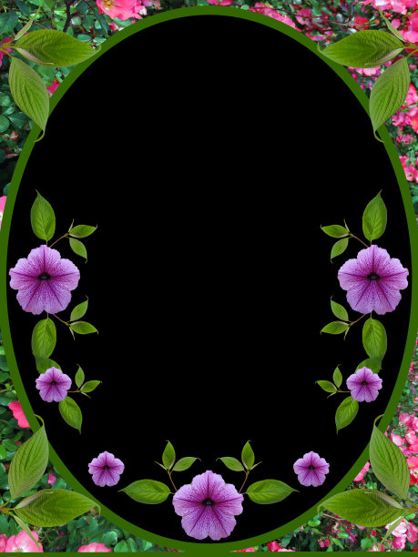 花框架上的黑色背景图片下载