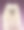 彩色背景上的白喷犬的特写肖像图片下载