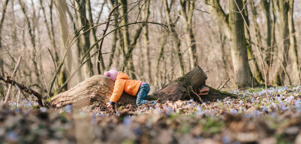 森林里的婴儿图片下载