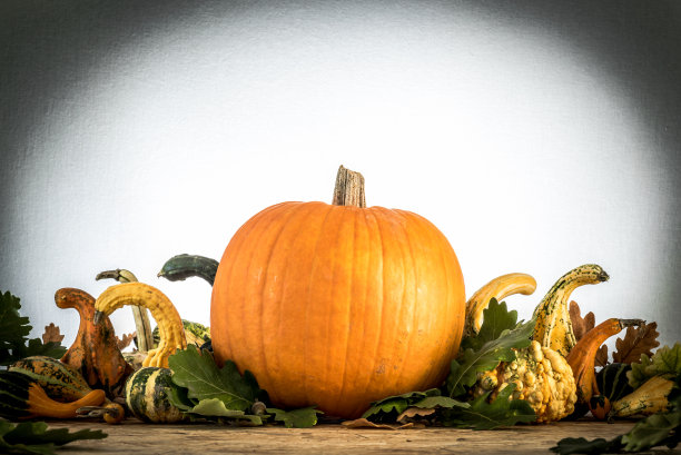 南瓜秋季的安排图片下载
