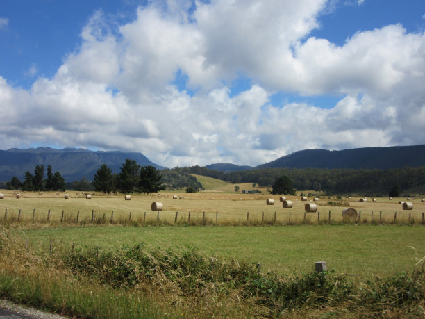 有Bales图片下载