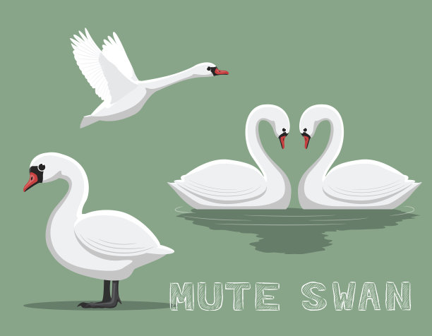 哑巴天鹅卡通矢量插图素材图片