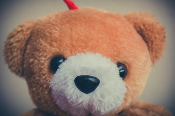 棕熊娃娃古董。图片下载