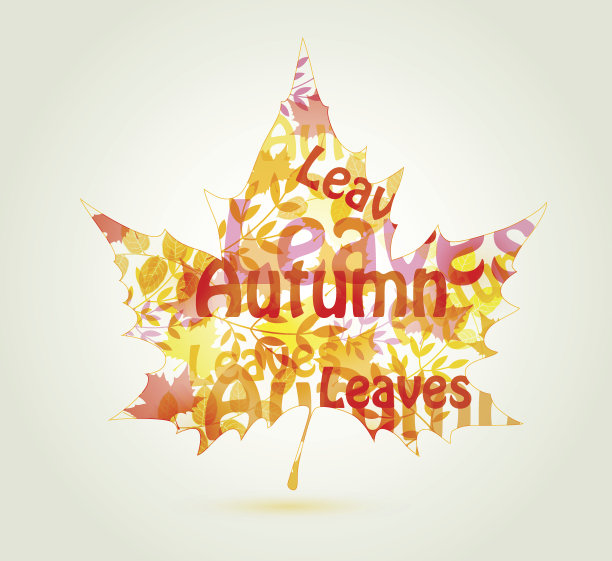 抽象的秋叶图片下载