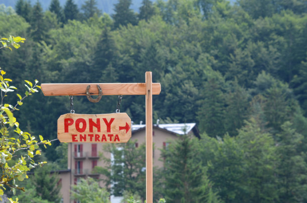 骑着青春图片下载