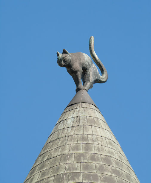 在里加有猫的房子图片下载