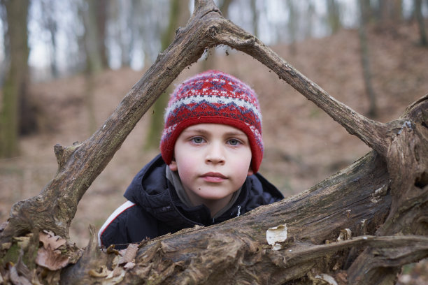 森林里的男孩图片下载