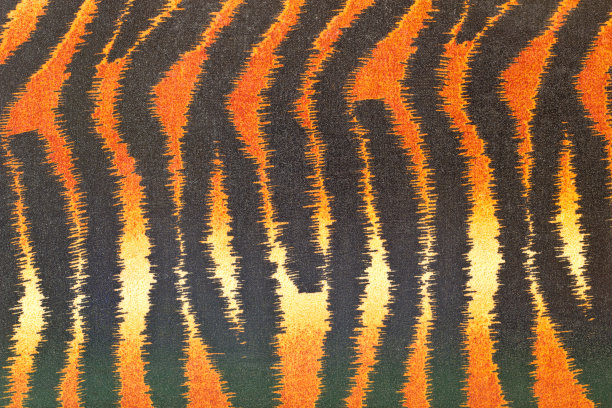 老虎模式图片下载