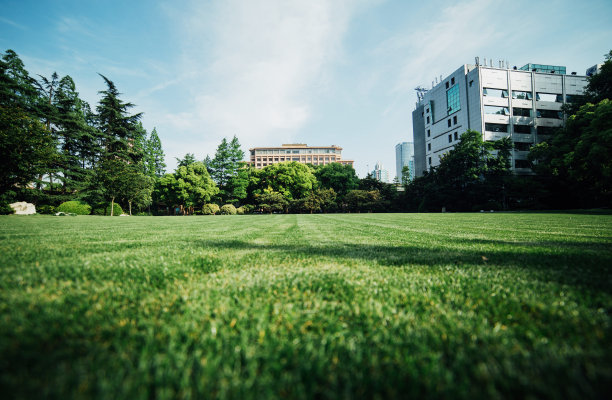 城市公园草地图片下载