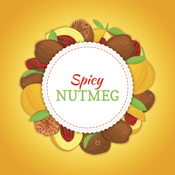 圆形的白色框架，由肉豆蔻香料水果组成。矢量插图。肉豆蔻果架、果壳、全果、去壳、叶开胃的健康食品包装设计图片下载