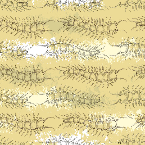 无缝模式与蜈蚣在纹理米色背景图片下载