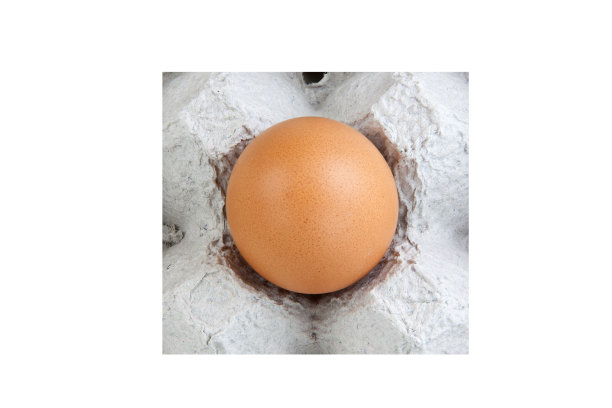 鸡蛋单面板图片下载