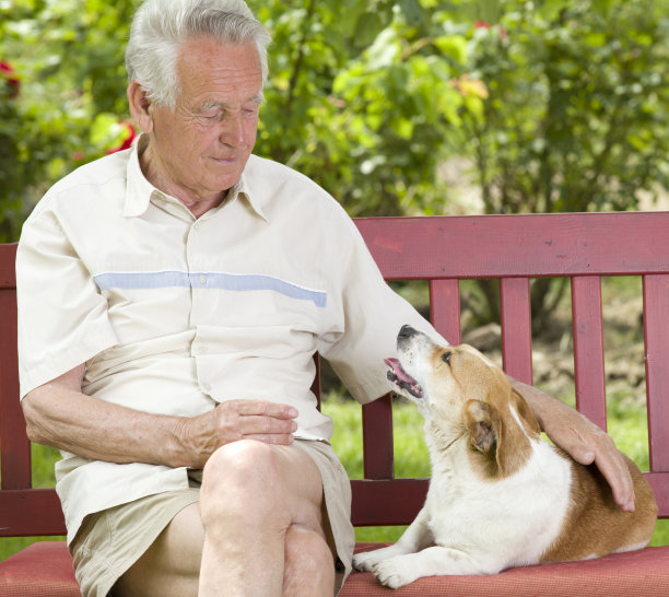 老人和他的狗图片下载