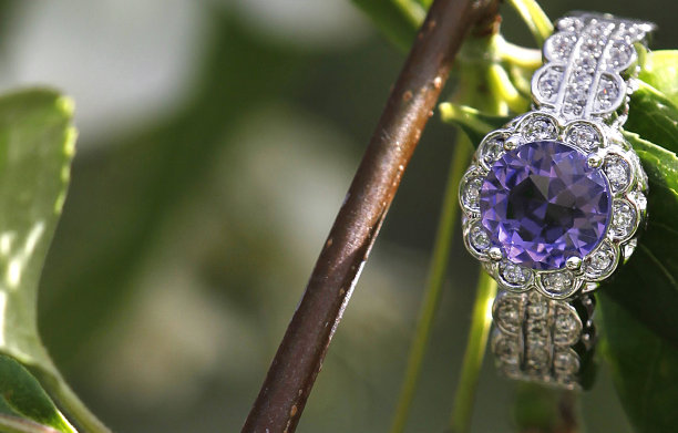树枝上的紫水晶和钻石戒指图片下载