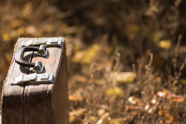 提箱站在黄色的草地上图片下载