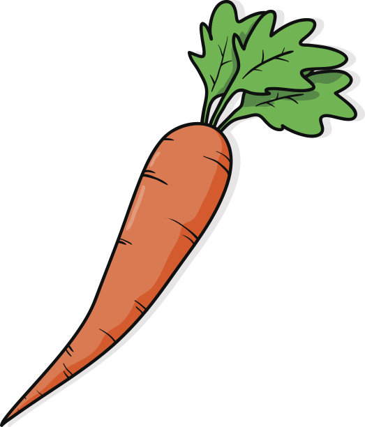 胡萝卜图片下载