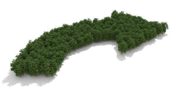 绿树做的箭图片下载