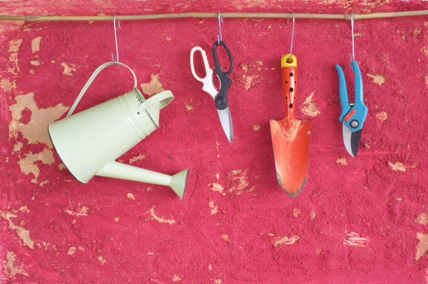 园艺工具，春季园艺图片下载