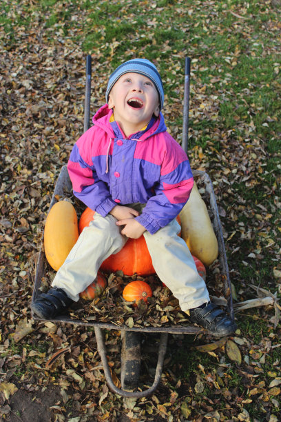 男孩在手推车图片下载