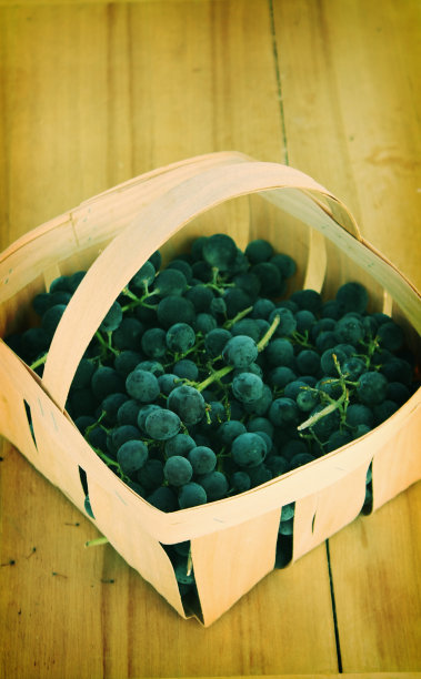 葡萄篮子图片下载