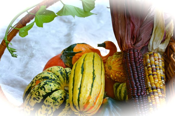 收获的篮子图片下载