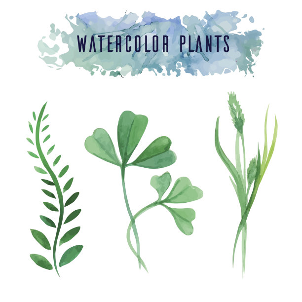 水彩向量绿色植物图片下载