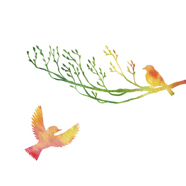 水彩鸟在树的剪影图片下载