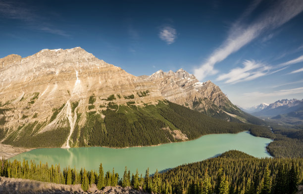 Peyto湖夏天图片下载