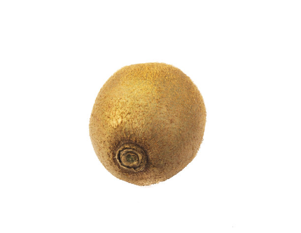 猕猴桃图片下载