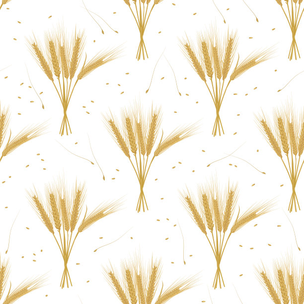 小麦穗与籽粒无缝花纹图片下载