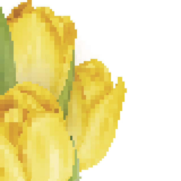 郁金香装饰背景。每股收益10图片下载