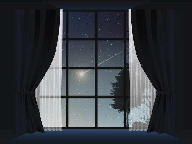 深森林和彗星在晚上在房间的观点图片下载