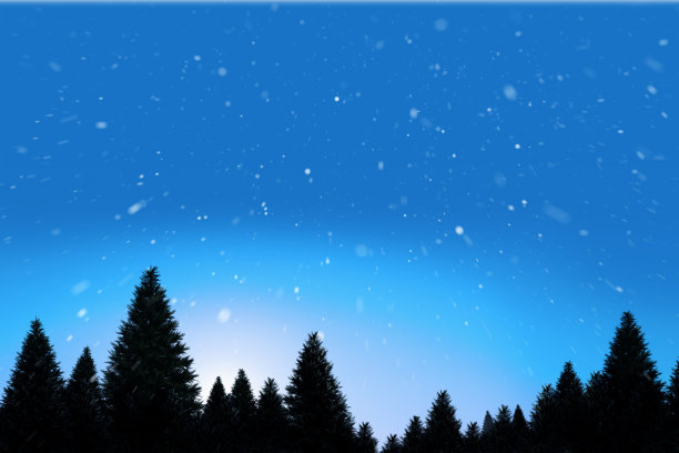 雪花飘落在冷杉林中图片下载