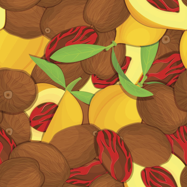 无缝模式肉豆蔻香料水果。矢量插图。肉豆蔻坚果背景、果壳、全果、去壳、叶为健康食品包装设计图片下载
