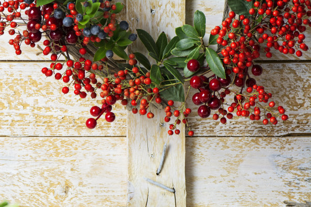 圣诞花环的常绿和南甸网浆果图片下载