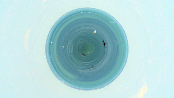 有船的湖，小星球图片下载