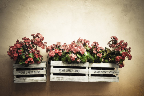 花盒挂在墙上图片下载