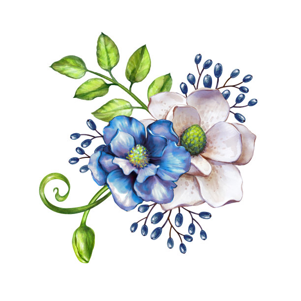 水彩插画，精致的鲜花和新鲜的绿叶，节日花束，花卉装饰，孤立在白色的背景图片下载