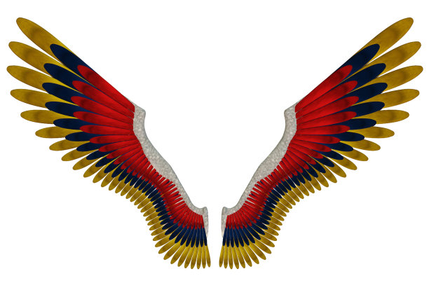 一对黄色、蓝色和红色翅膀的插图图片下载