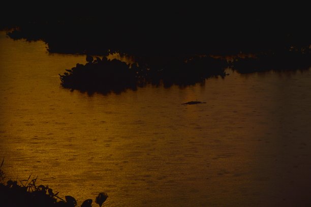 雨落运河图片下载