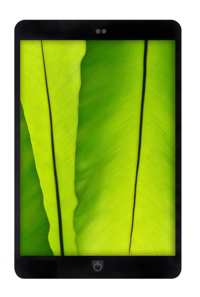 黑色平板电脑与绿色叶墙在白色背景图片下载