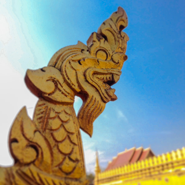 亚洲文化信任图片下载