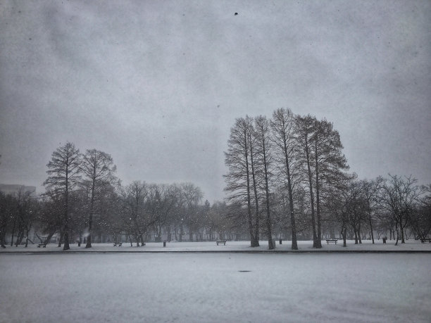 冬天的风景图片下载