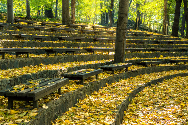 圆形剧场覆盖着秋叶图片下载