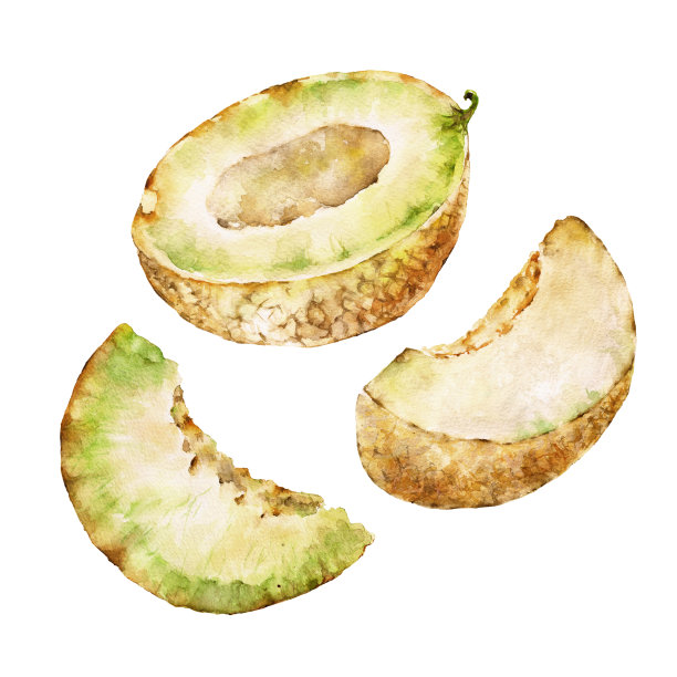 用甜瓜无缝花纹。水彩插图。图片下载