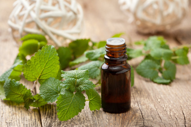 薄荷精油图片下载