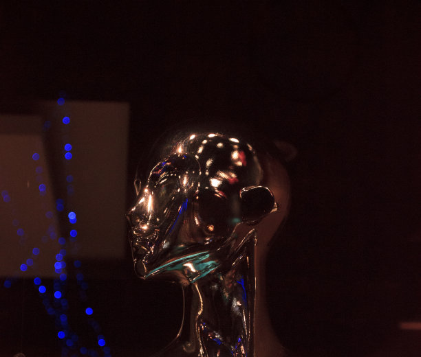 金属的女人头图片下载